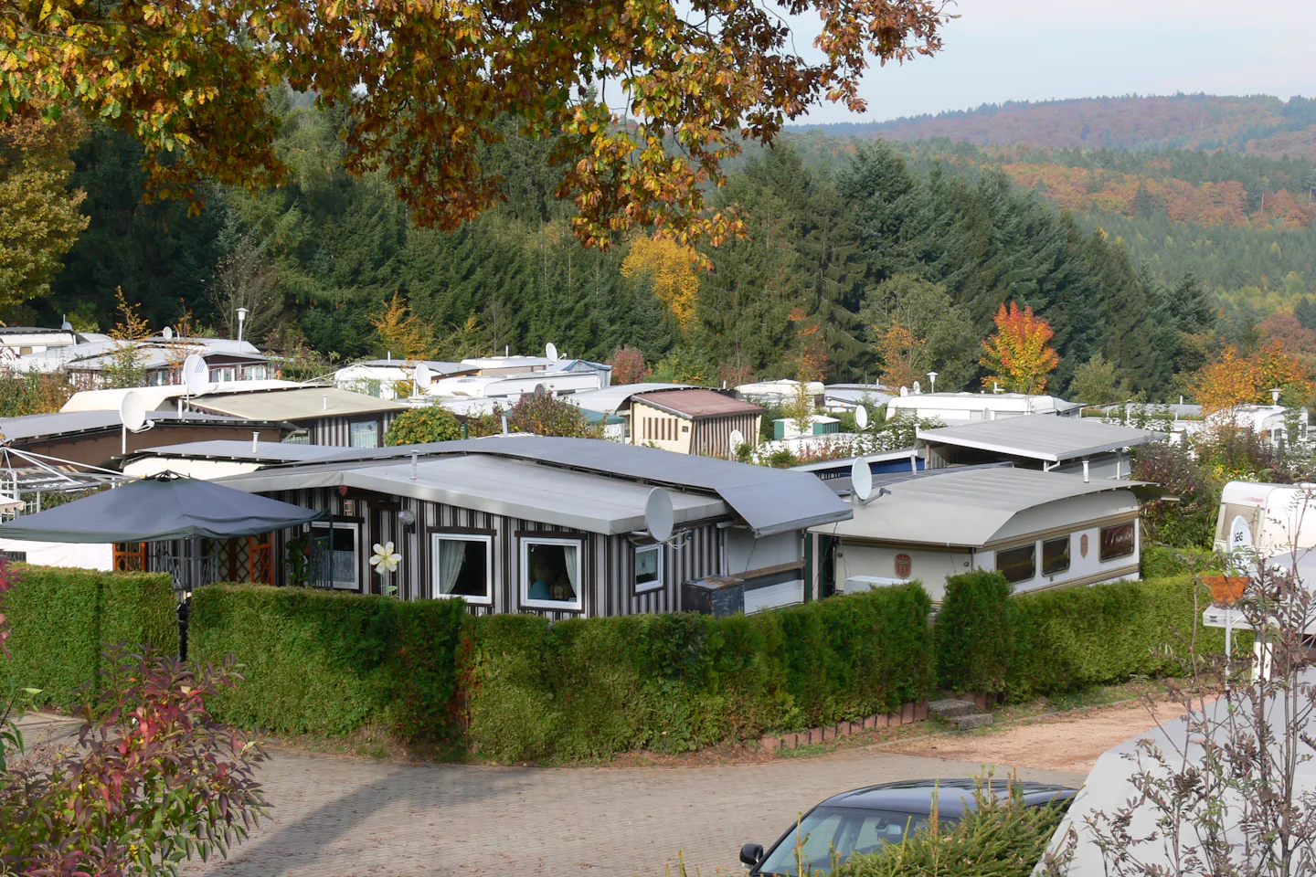 DCC-Campingplatz Schwarzwälder Hochwald