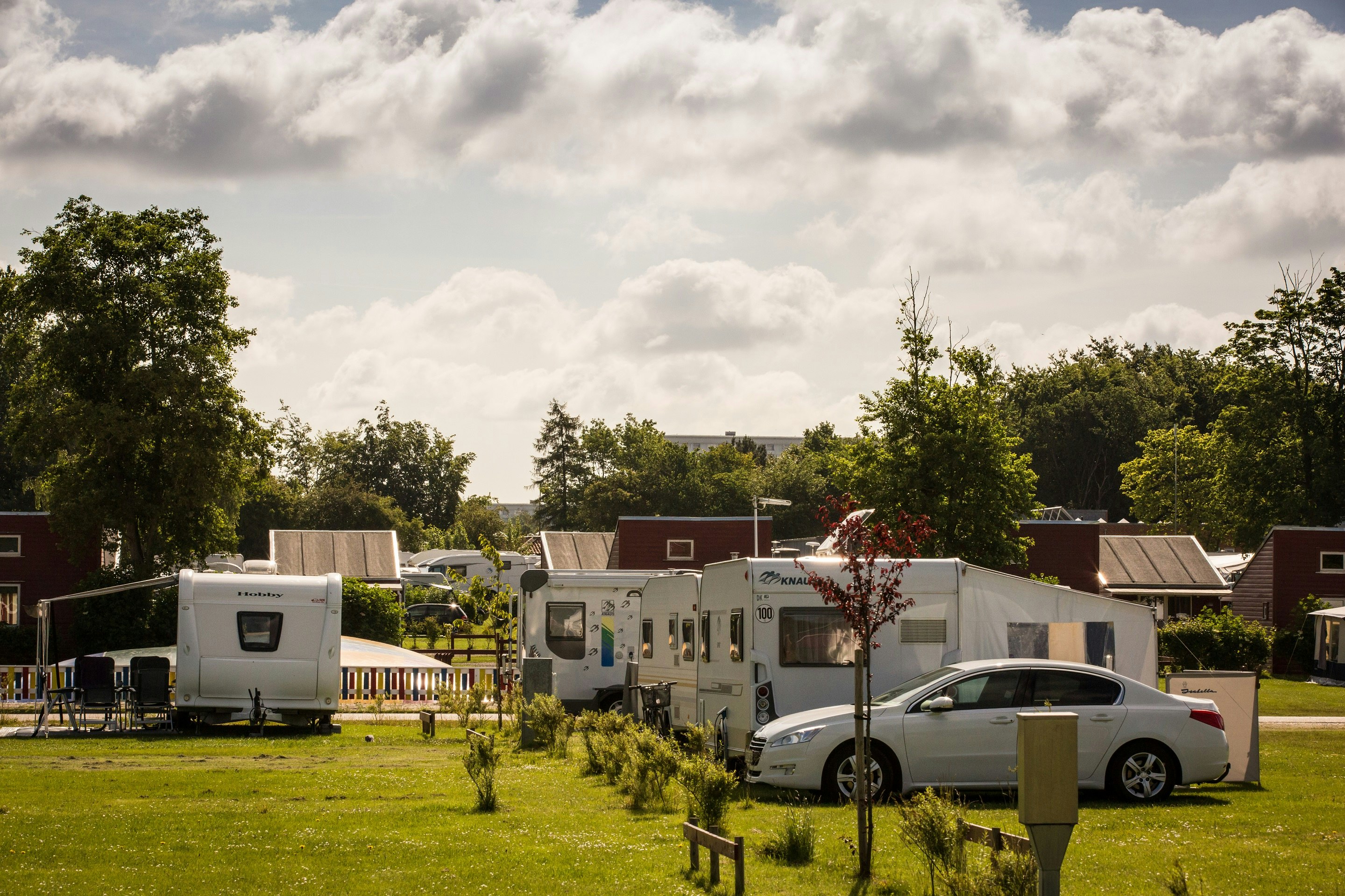DCU-Camping Absalon - Standplätze auf dem Campingplatz