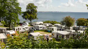 DCU-Camping Aarhus – Blommehaven DCU-Camping Blommehaven - Blick auf die Stellplätze