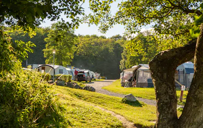 DCU-Camping Aarhus – Blommehaven