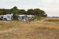 DCU-Camping Flyvesandet Strand - Blick auf die Stellplätze