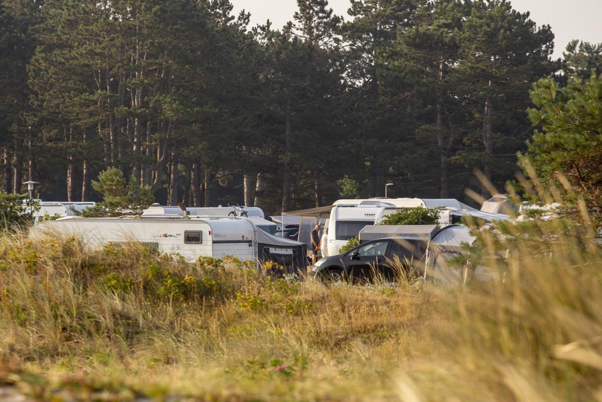 DCU-Camping Flyvesandet Strand - Standplätze auf dem Campingplatz