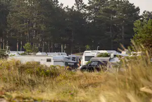 DCU-Camping Flyvesandet Strand - Standplätze auf dem Campingplatz