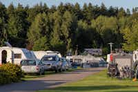 DCU-Camping Hornbæk - Blick auf die Wohnmobil- und Wohnwagenstellplätze