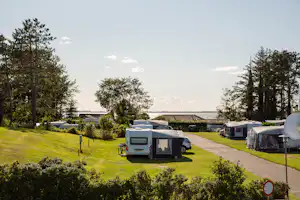Stellplätze mit Wohnwagen und Vorzelten auf einer grünen Wiese, Hecken und Bäume am Rand, Weg zur Rezeption.