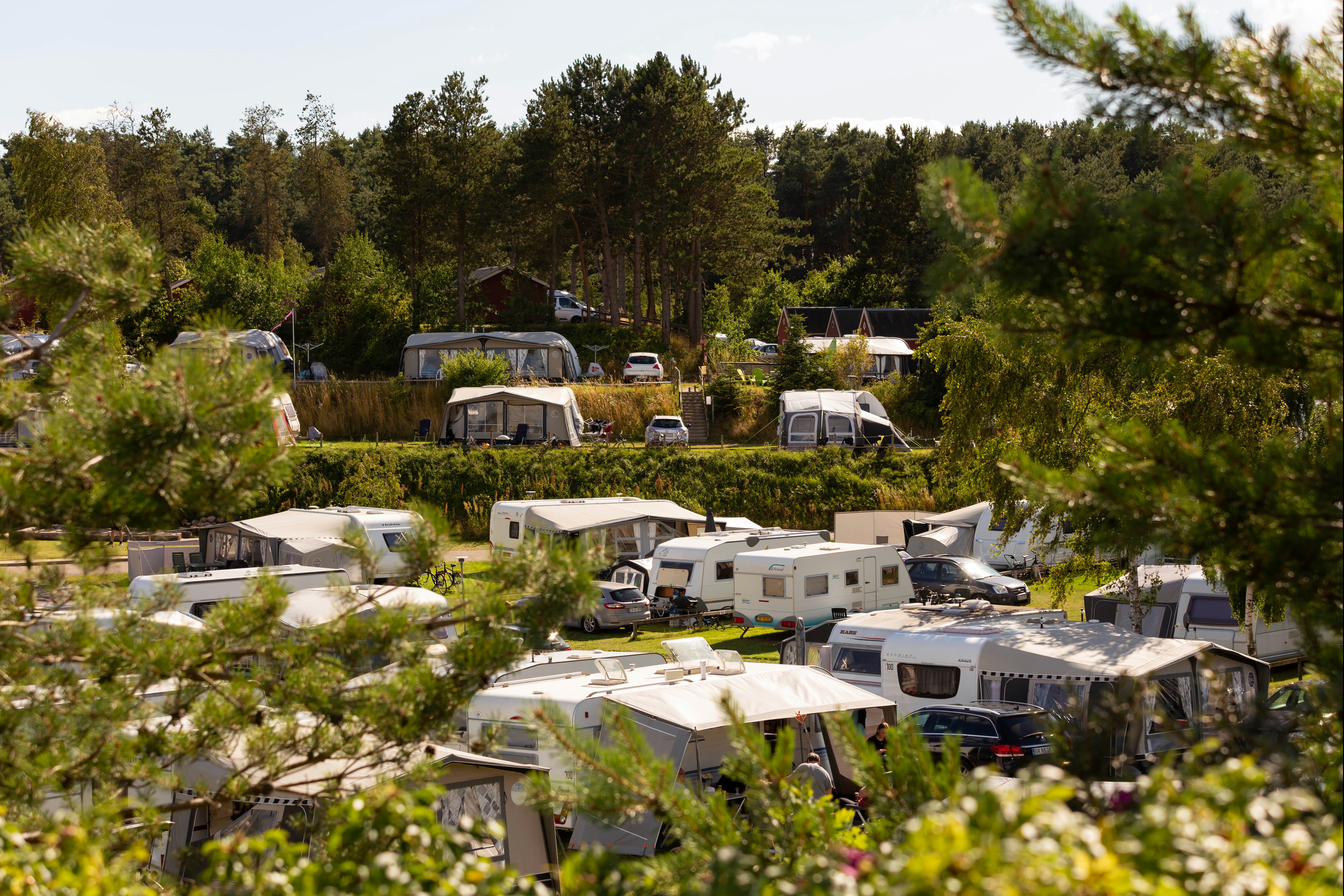 DCU-Camping Ebeltoft – Mols  DCU-Camping Mols - Blick auf die Stellplätze im Grünen