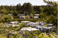 DCU-Camping Ebeltoft – Mols  DCU-Camping Mols - Blick auf die Stellplätze im Grünen