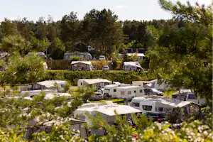 DCU-Camping Ebeltoft – Mols DCU-Camping Mols - Blick auf die Stellplätze im Grünen