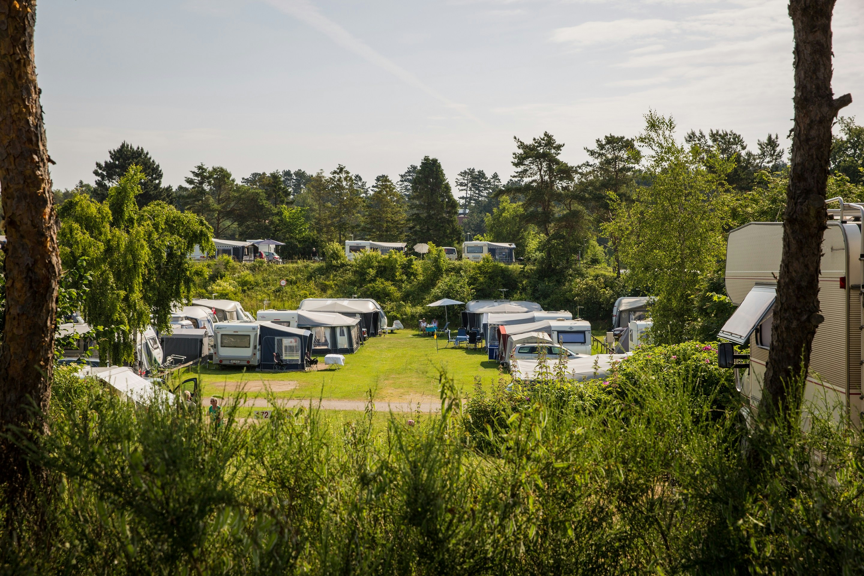 DCU-Camping Ebeltoft – Mols  DCU-Camping Mols - Wohnmobil- und Wohnwagenstellplätze im Grünen