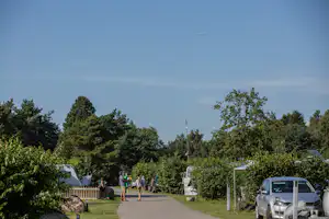DCU-Camping Nærum - Blick auf den Campingplatz im Grünen