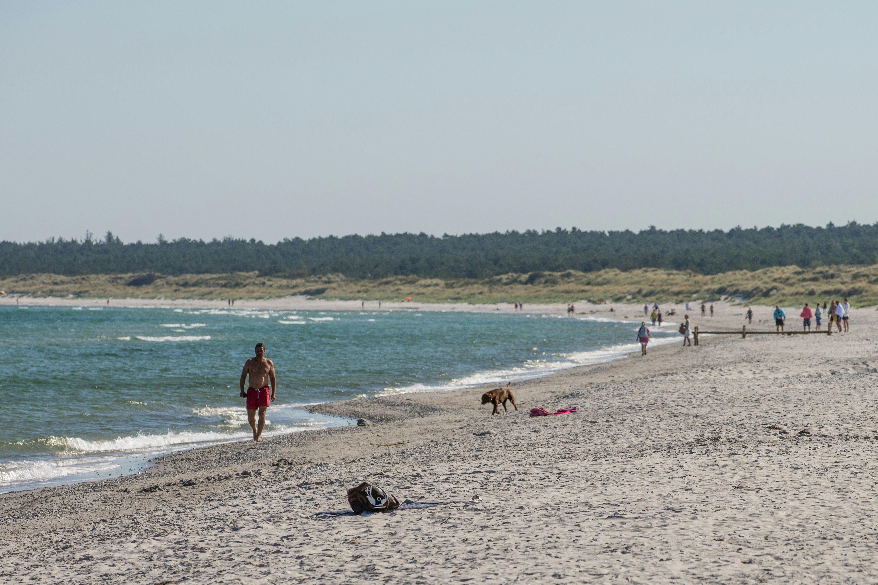 DCU-Camping Rørvig Strand - Badestrand in der Nähe des Campingplatzes