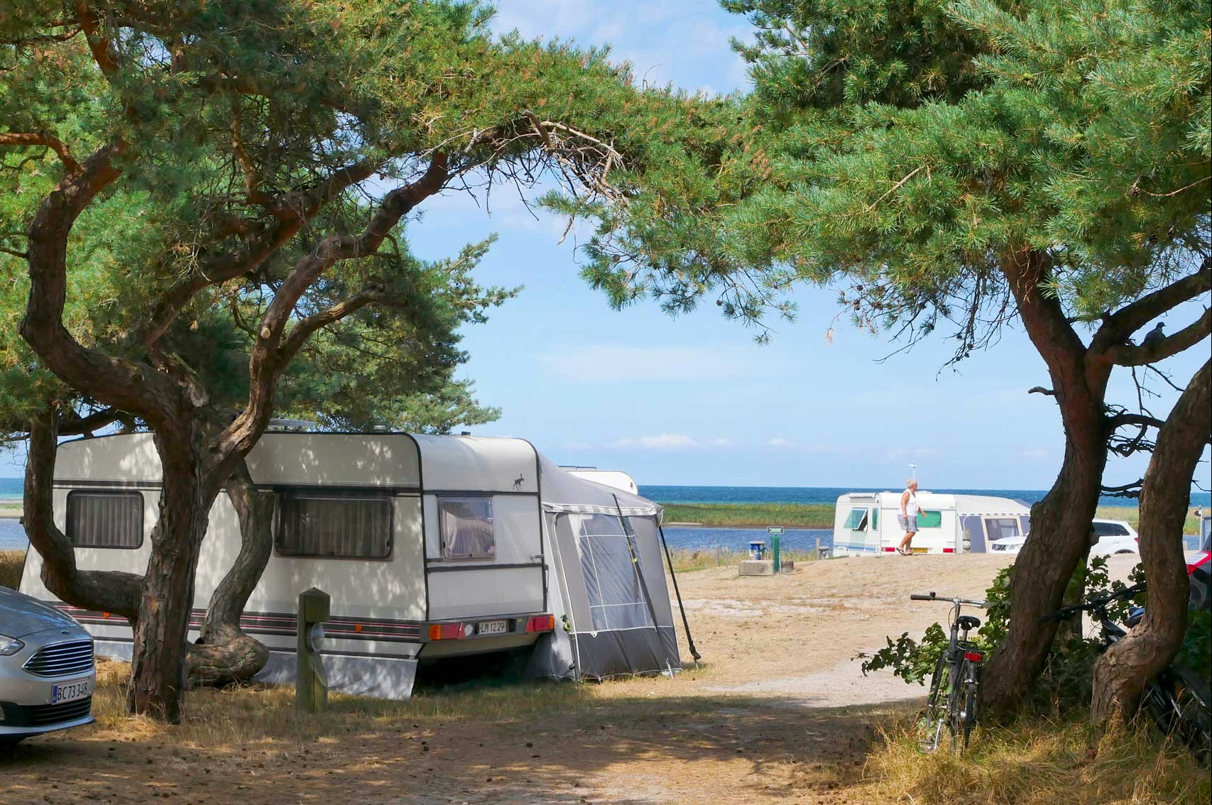 Sanddobberne Camping - Standplätze zwischen den Bäumen auf dem Campingplatz