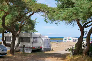 Sanddobberne Camping - Standplätze zwischen den Bäumen auf dem Campingplatz