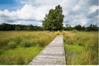 De Goede Weide Recreatie - Spazierwege im Naturgebiet