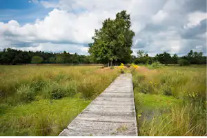 De Goede Weide Recreatie - Spazierwege im Naturgebiet