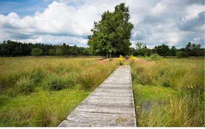 De Goede Weide Recreatie