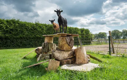 De Goede Weide Recreatie
