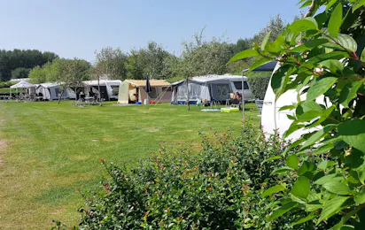 de Gouwe Stek