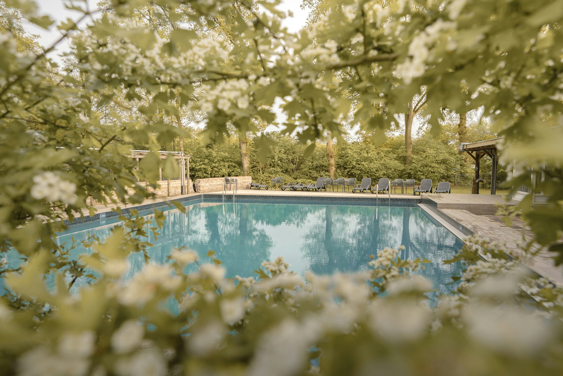 De Lemeler Esch Natuurcamping - Blick auf den Pool im Freien