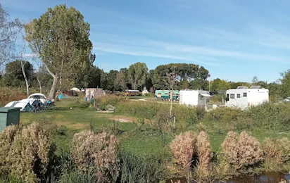 Camping Amsterdam Gardens