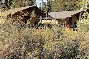 De Sport Camping Amsterdam - Glamping-Zelte auf dem Campingplatz