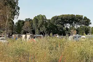 De Sport Camping Amsterdam - Stellplätze im Grünen