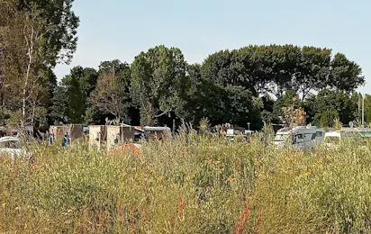 Camping Amsterdam Gardens
