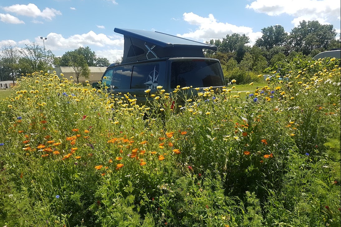 De Sport Camping Amsterdam - Stellplatz im Grünen umgeben von Blumen