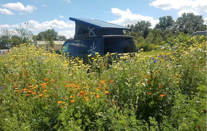 Camping Amsterdam Gardens