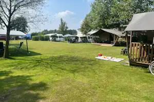 De Zwammenberg - Blick auf die Glamping-Zelte und Standplätze auf der Wiese