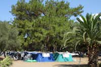 Denizatı Hipocamp - Zelte auf dem Campingplatz im Schatten der Bäume