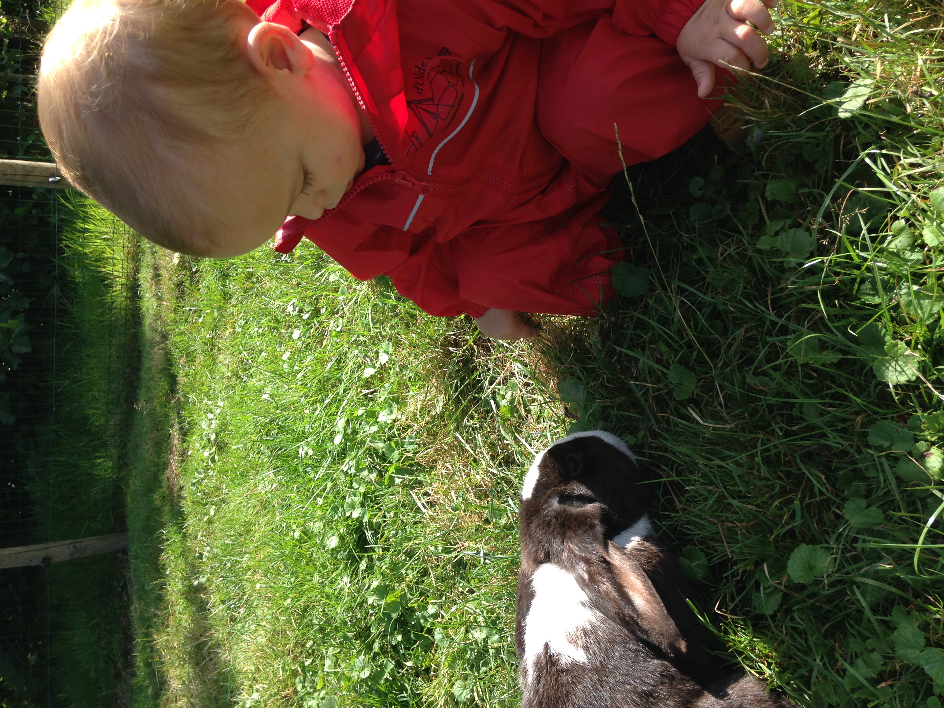 D'Olde Kamp Recreatie