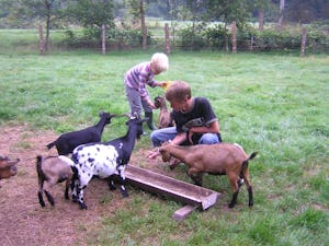 D'Olde Kamp Recreatie