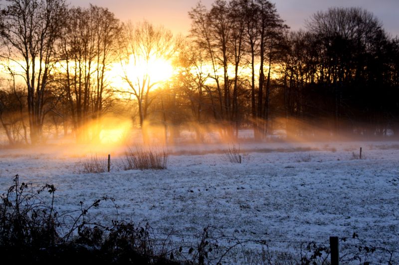 D'Olde Kamp Recreatie