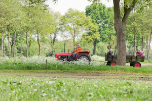 D'Olde Kamp Recreatie