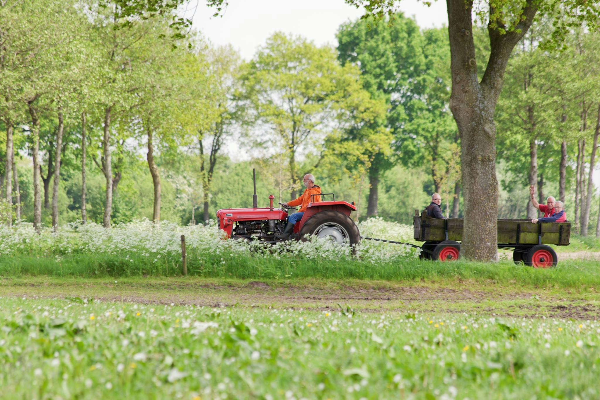 D'Olde Kamp Recreatie