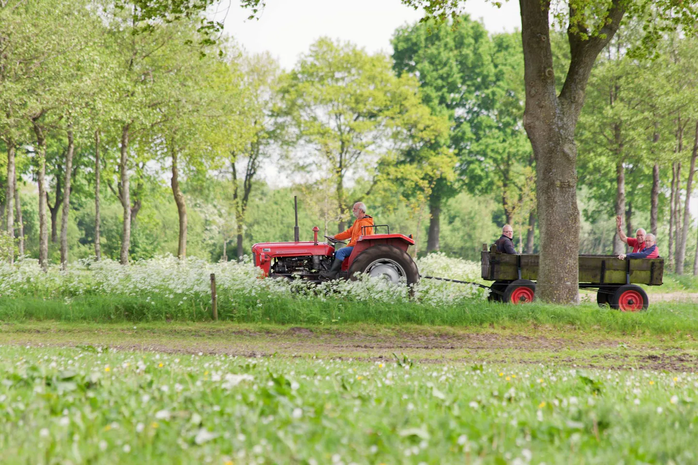D'Olde Kamp Recreatie