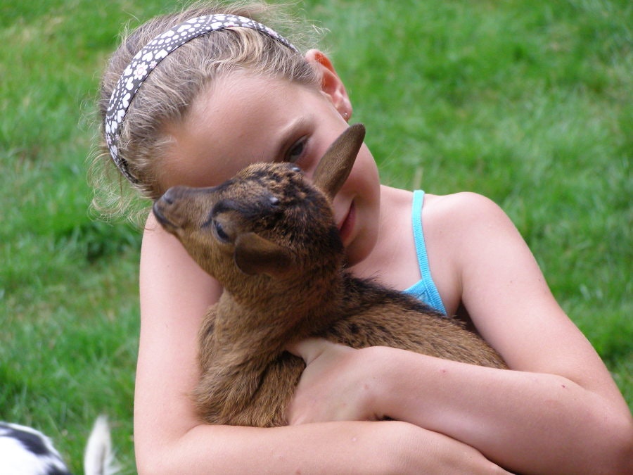 D'Olde Kamp Recreatie