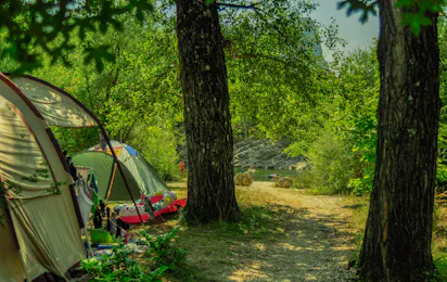Domaine Chasteuil Verdon Provence