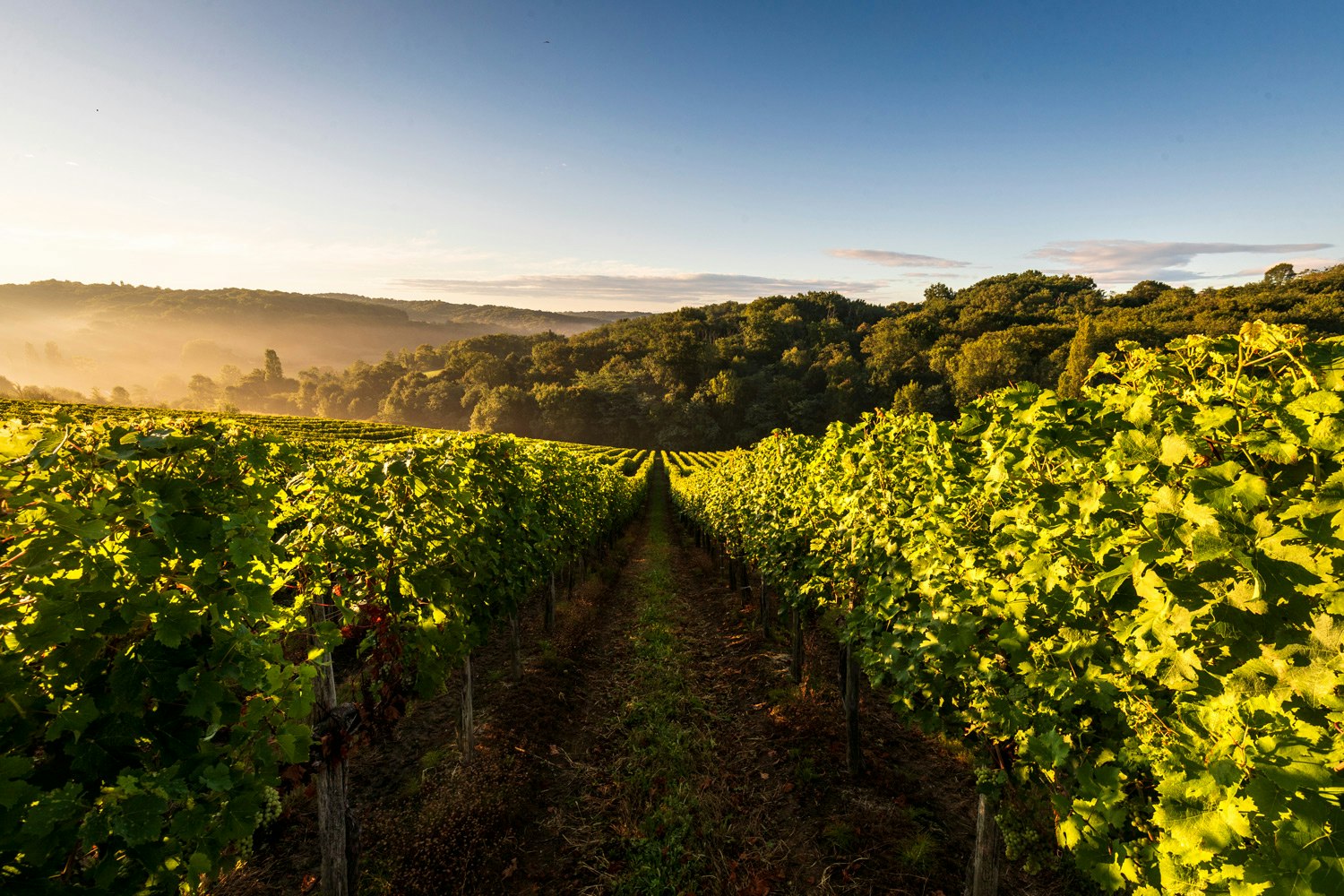 Domaine d'Esperbasque