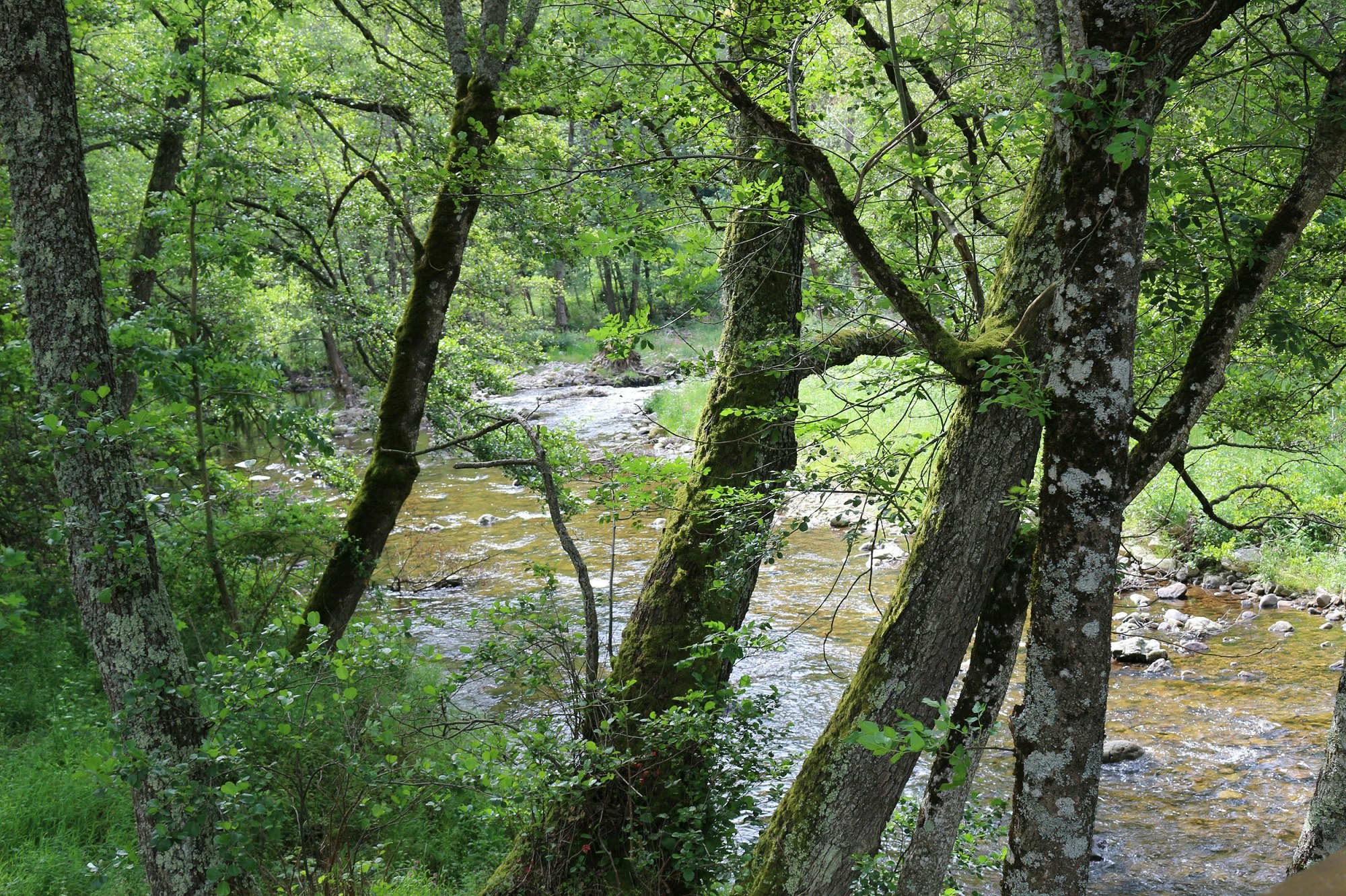 Domaine de Clarat