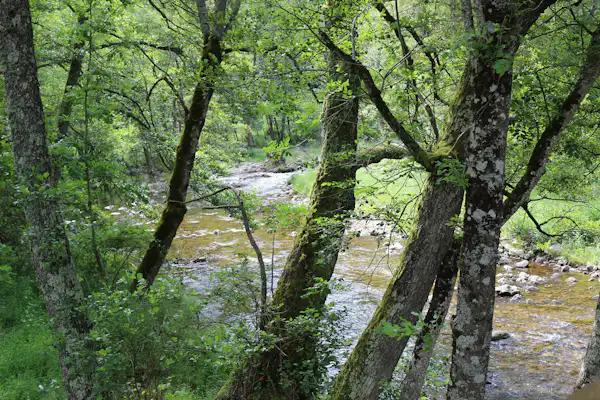 Domaine de Clarat