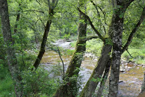 Domaine de Clarat