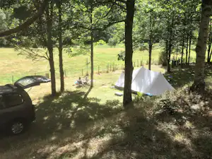 Weißes Campingzelt im Wald zwischen Bäumen, daneben ein Auto am Stellplatz auf einer Wiese.