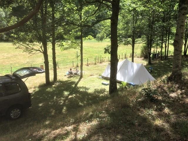 Weißes Campingzelt im Wald zwischen Bäumen, daneben ein Auto am Stellplatz auf grasigem Boden.
