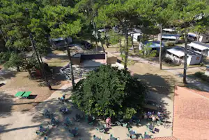 Campingplatz mit Stellplätzen und Wohnwagen, dazwischen Bäume und ein gepflasterter Weg, im Vordergrund Sitzbereich mit Tischen.