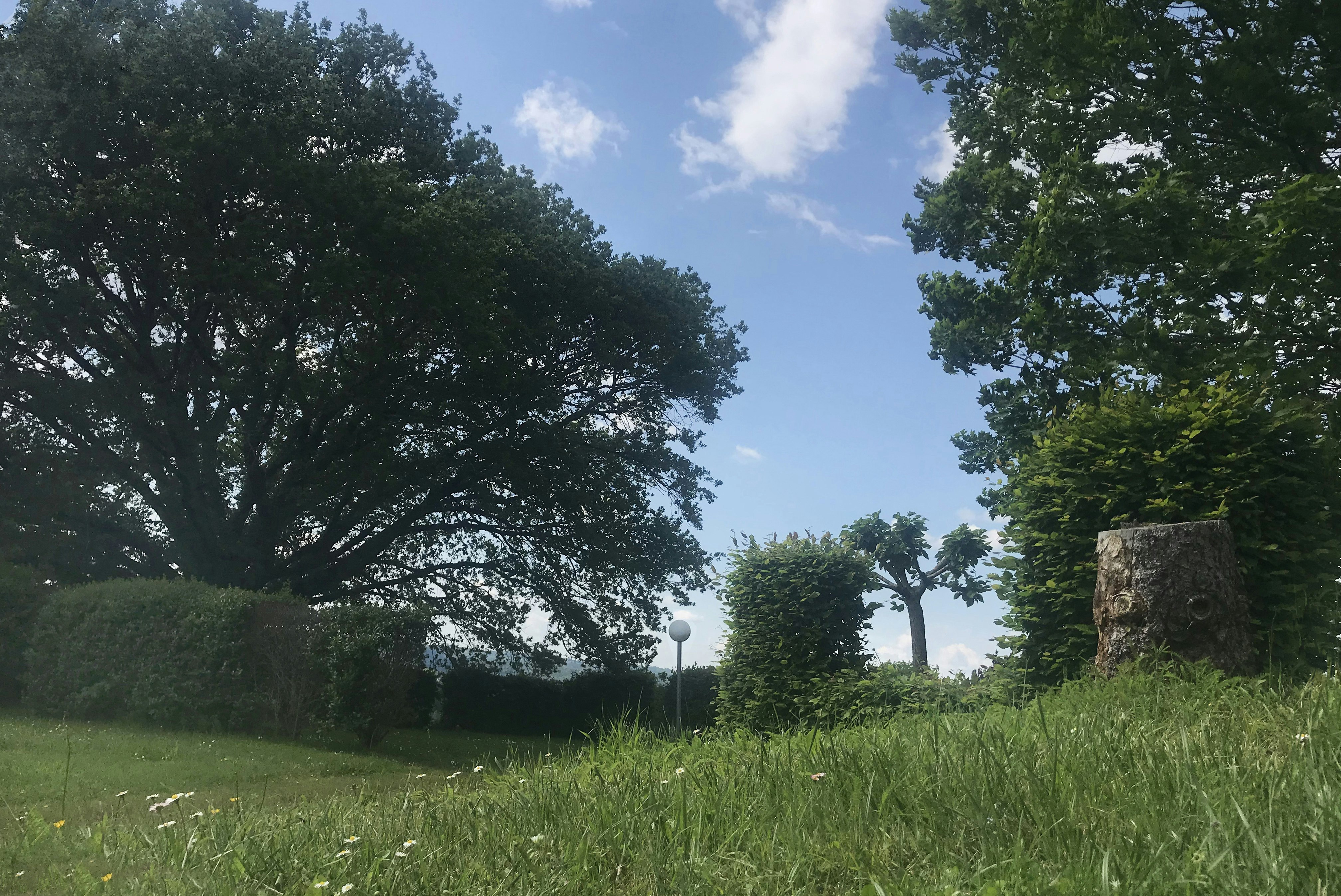 Domaine de la Chapelle-en-Corrèze - Standplätze im Grünen auf dem Campingplatz
