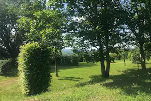Grünes Campinggelände mit Rasenfläche und mehreren Bäumen, Blick durch das Blätterdach in die Ferne.