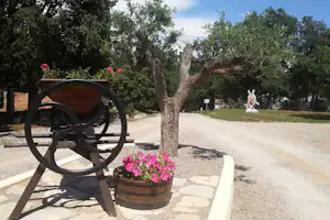 Domaine de la Cigalière - Eingangsbereich auf dem Campingplatz