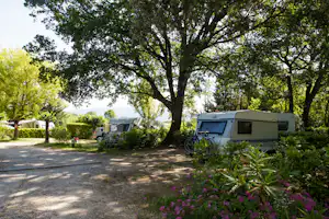 Wohnmobile auf dem Campingplatz unter großen Bäumen, Kiesweg und Hecken zwischen den Stellplätzen.